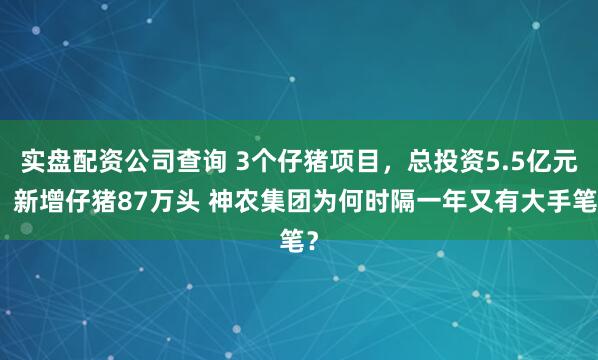 实盘配资公司查询 3个仔猪项目，总投资5.5亿元，新增仔猪87万头 神农集团为何时隔一年又有大手笔？