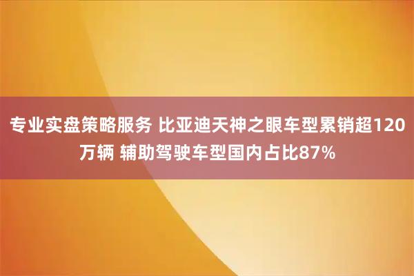专业实盘策略服务 比亚迪天神之眼车型累销超120万辆 辅助驾驶车型国内占比87%