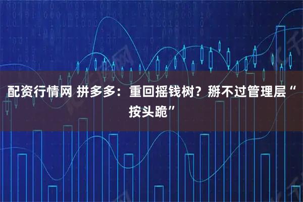 配资行情网 拼多多：重回摇钱树？掰不过管理层“按头跪”