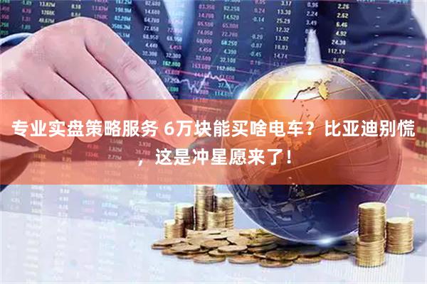 专业实盘策略服务 6万块能买啥电车？比亚迪别慌，这是冲星愿来了！