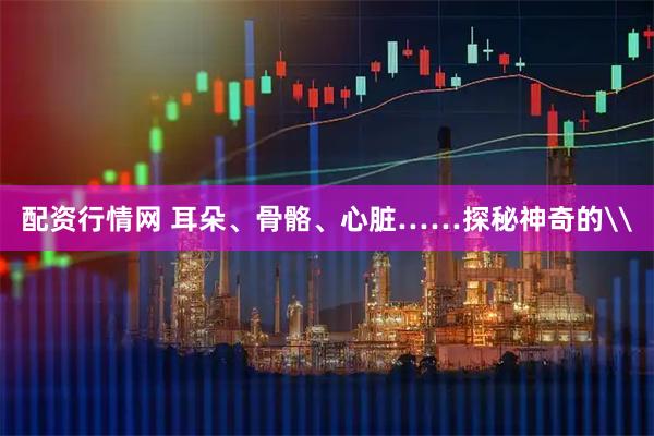 配资行情网 耳朵、骨骼、心脏……探秘神奇的\